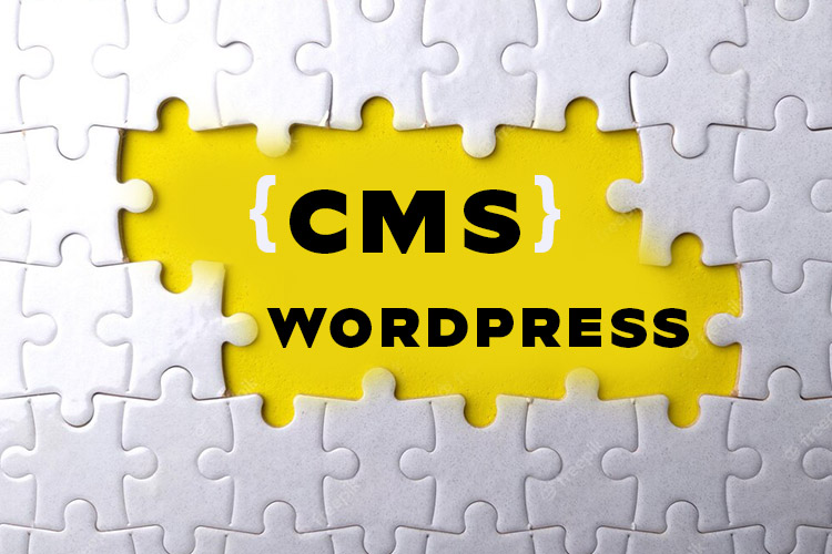 WordPress for Your Website - Important reasons to choose wordPress as best cms